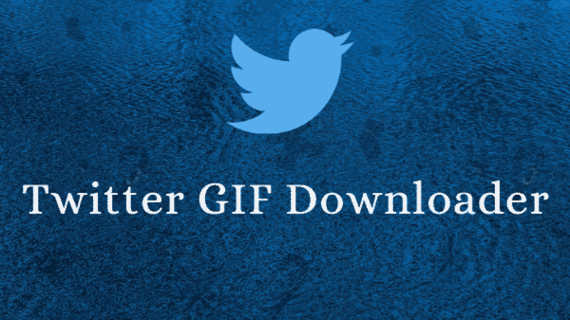 Top 3 best twitter gif downloader tools