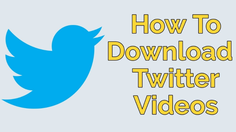A detailed step-by-step guide on how to download twitter videos quickly