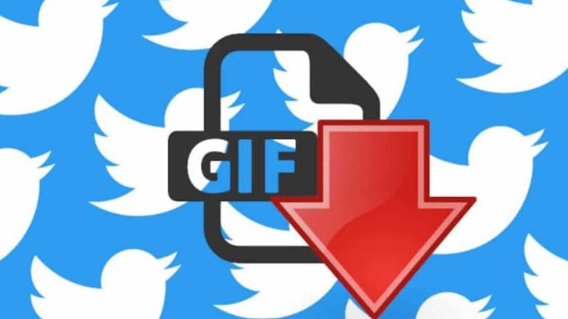 Hướng dẫn sử dụng trình tải xuống Twitter GIF