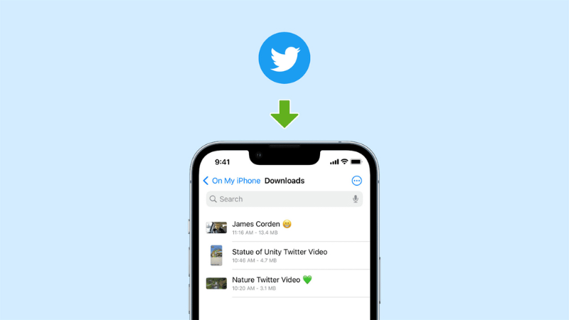 How to download Twitter MP4 videos using Snaptw