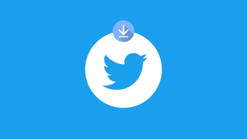 How to use the SnapTw online Twitter downloader