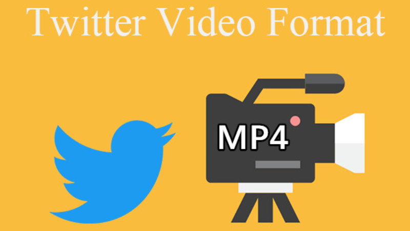 Convert Twitter to MP4 using the Snaptw tool