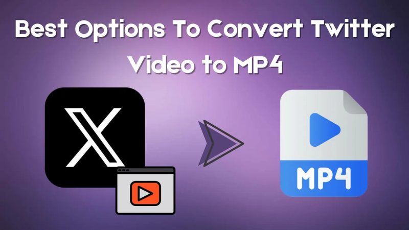 Hướng dẫn chi tiết cách tải video Twitter sang MP4 miễn phí