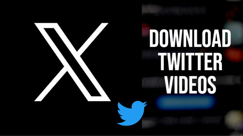Tải xuống video Snap Twitter nhanh chóng và dễ dàng (cập nhật 2025)