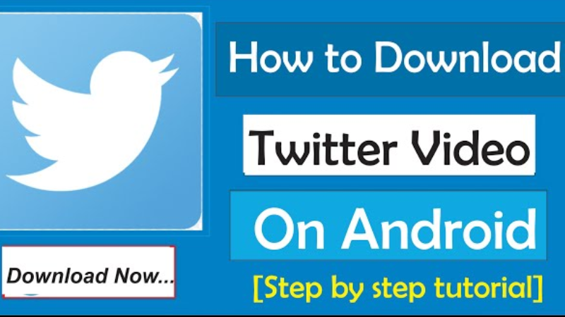 How to download Twitter videos Android using a website