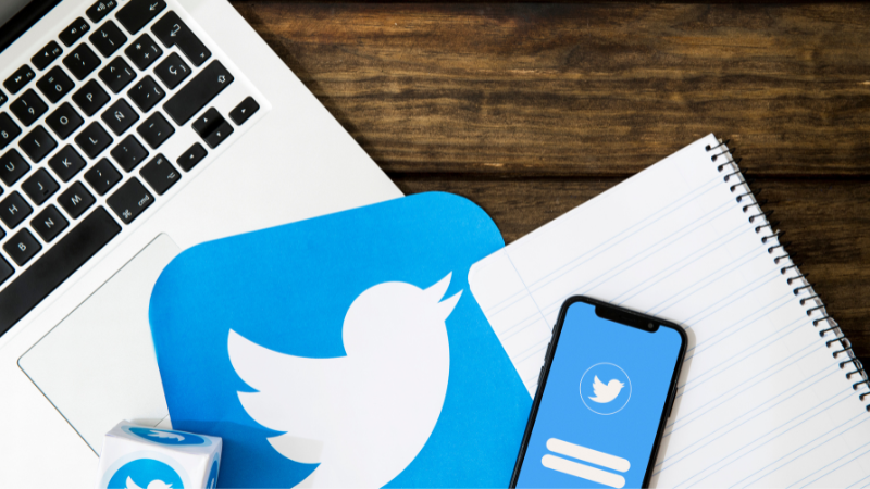 How to use SnapTw to download from Twitter video