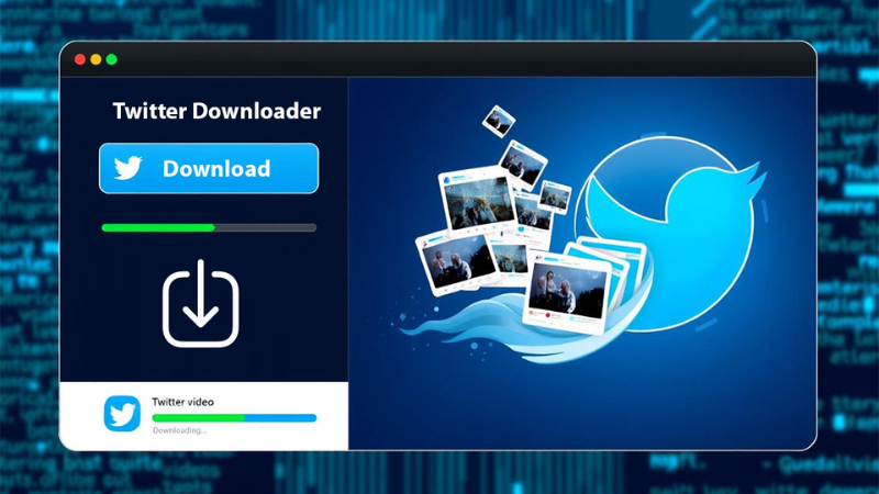 The journey to find a way to use the twitter video downloader best quality