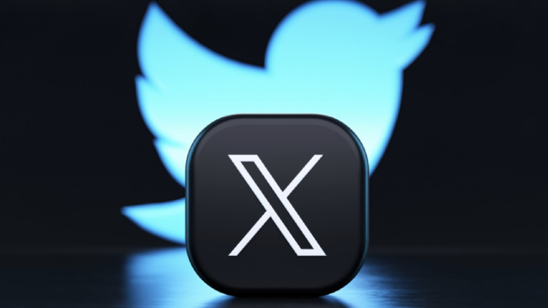 Step-by-Step Guide to using a multiple Twitter video downloader