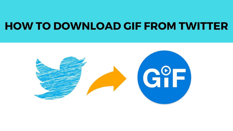 How to download GIF from Twitter quickly and efficiently