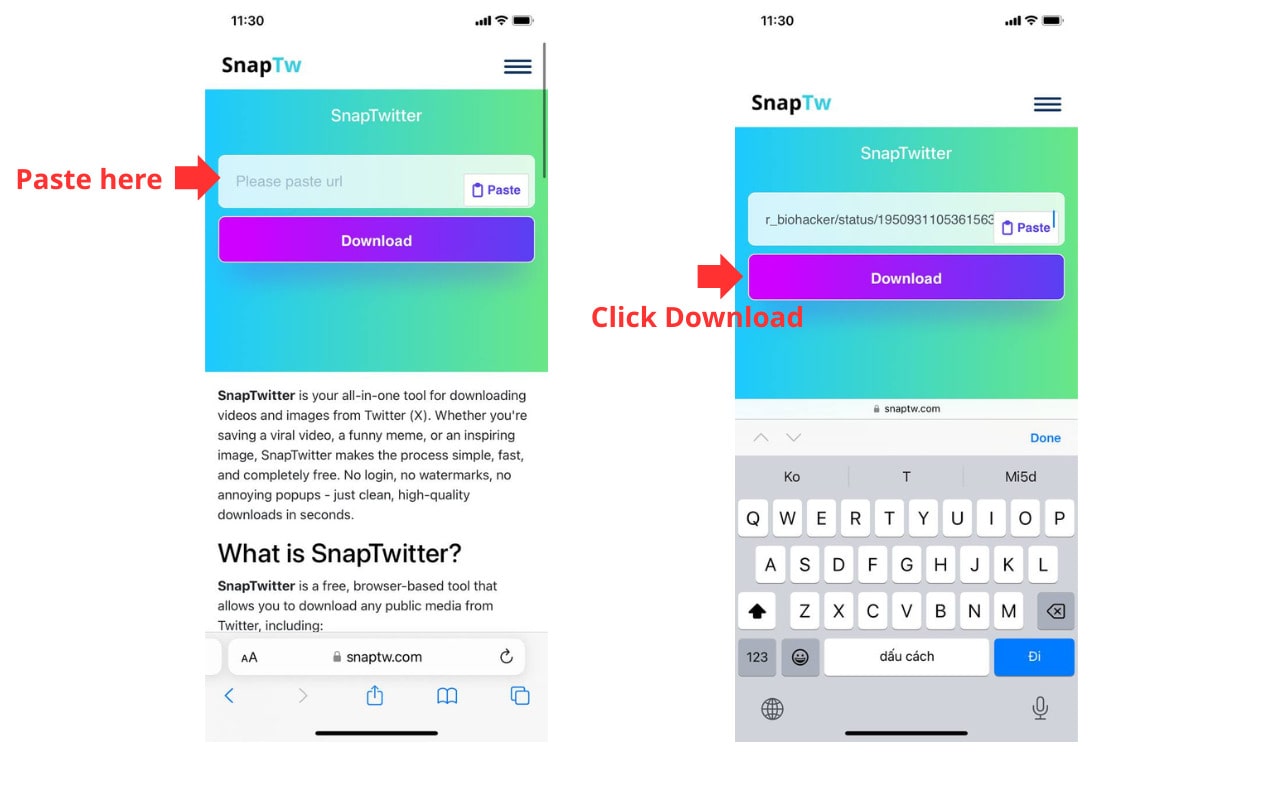 Paste the URL into SnapTwitter’s download box.