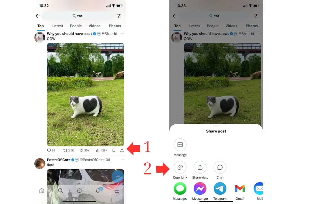 Copy the video link from Twitter